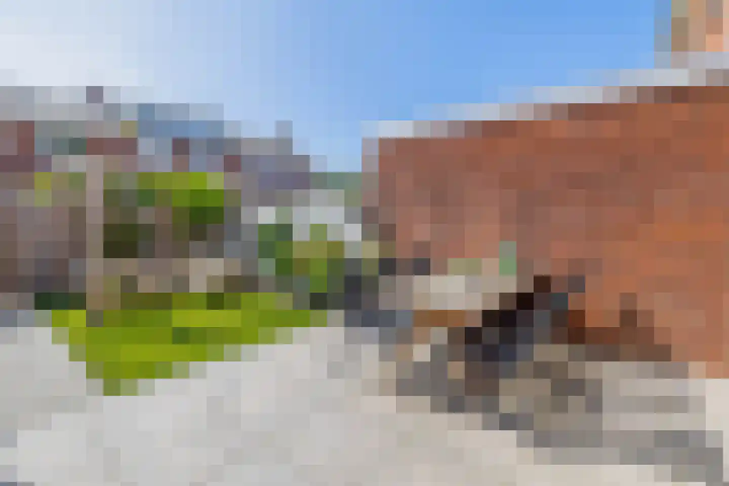 Radiumstraat 5 Groningen thumbnail 24