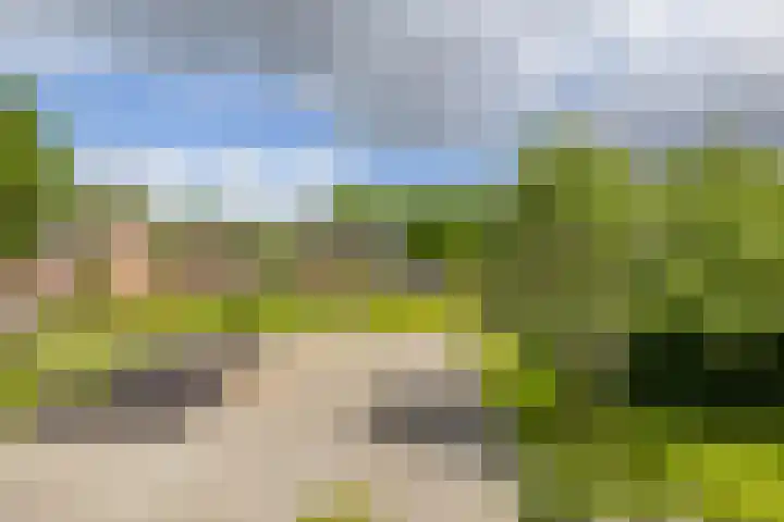 Radiumstraat 65 Groningen thumbnail 37