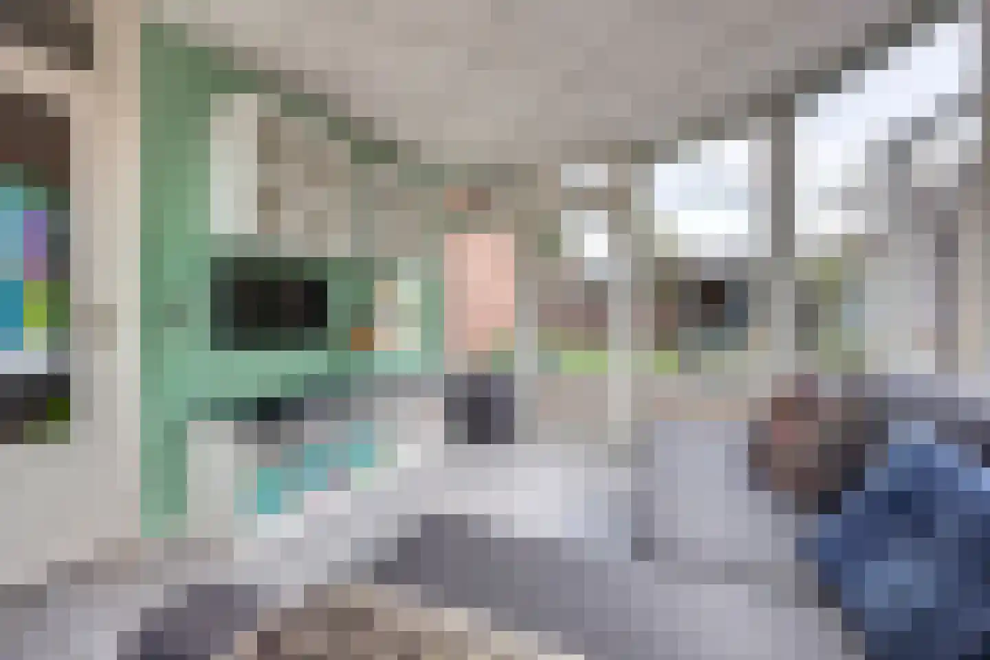 Radmakersstraat 1 Oeffelt thumbnail 15