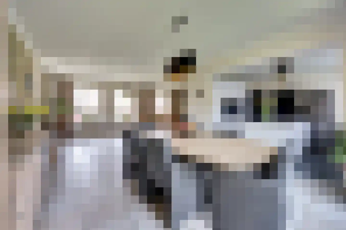 Radmakersstraat 1 Oeffelt thumbnail 17