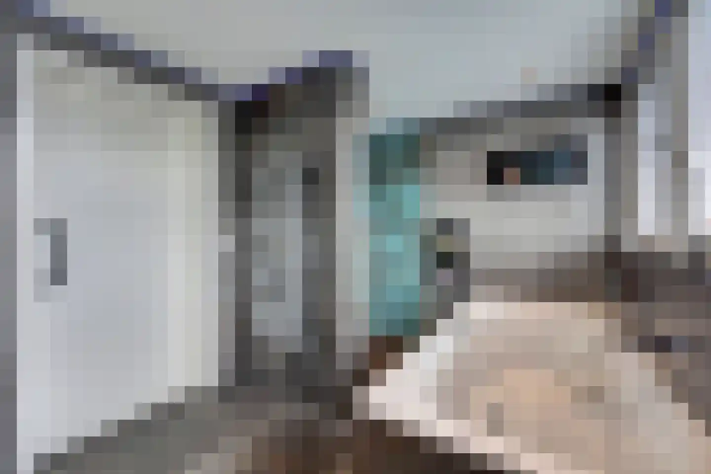 Radmakersstraat 1 Oeffelt thumbnail 35