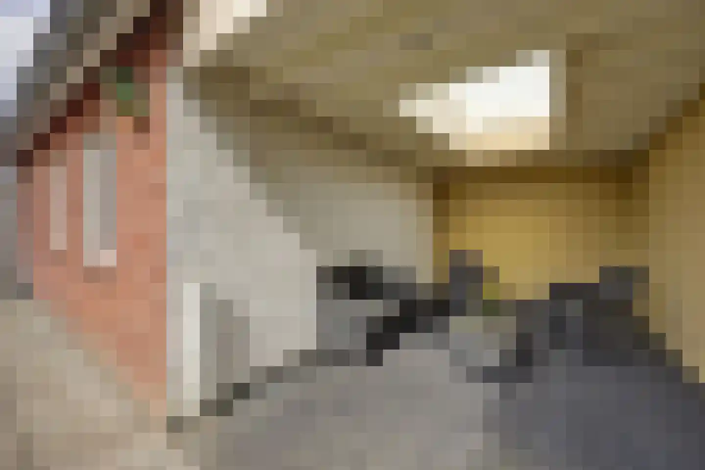 Radmakersstraat 1 Oeffelt thumbnail 43
