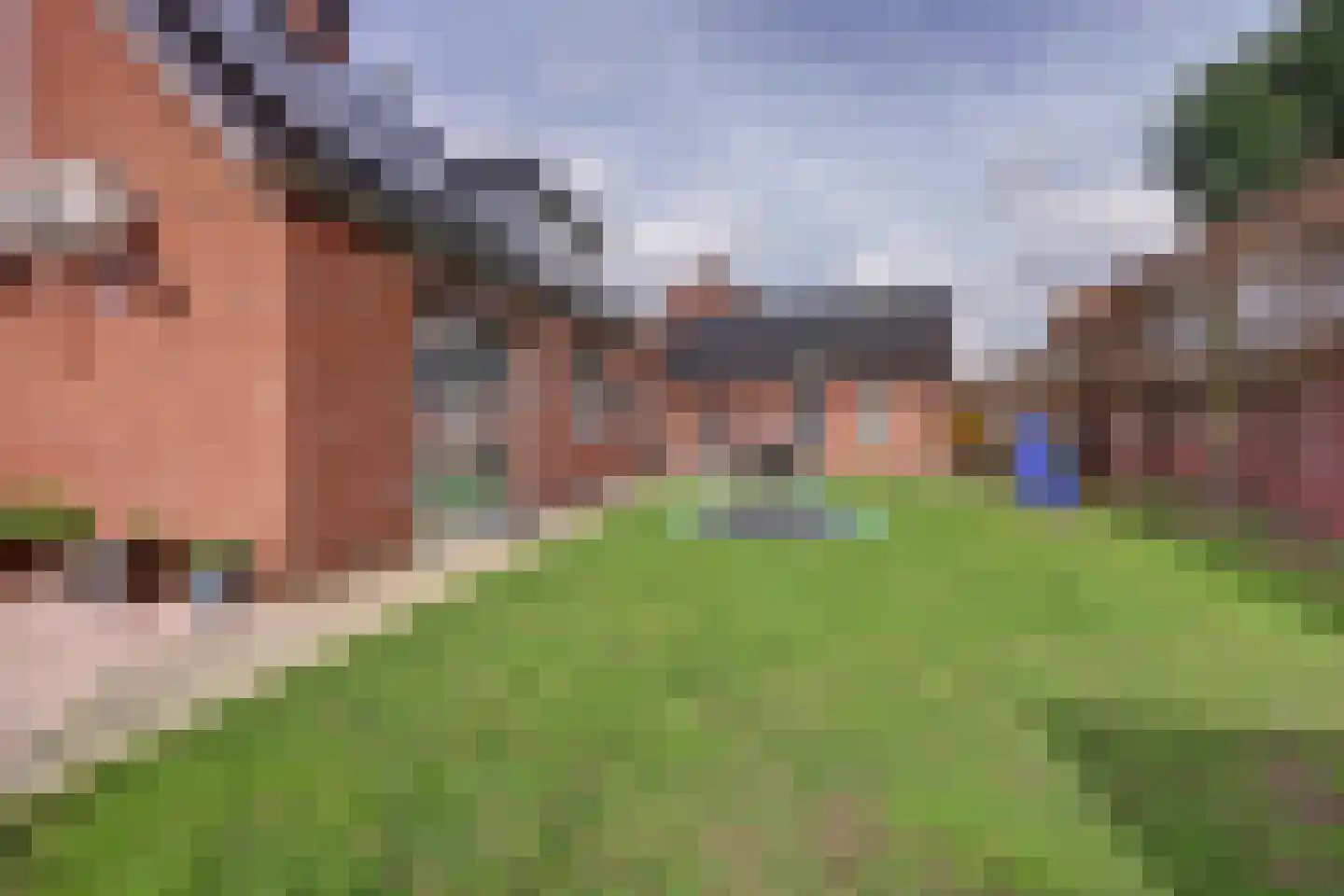 Radmakersstraat 1 Oeffelt thumbnail 47