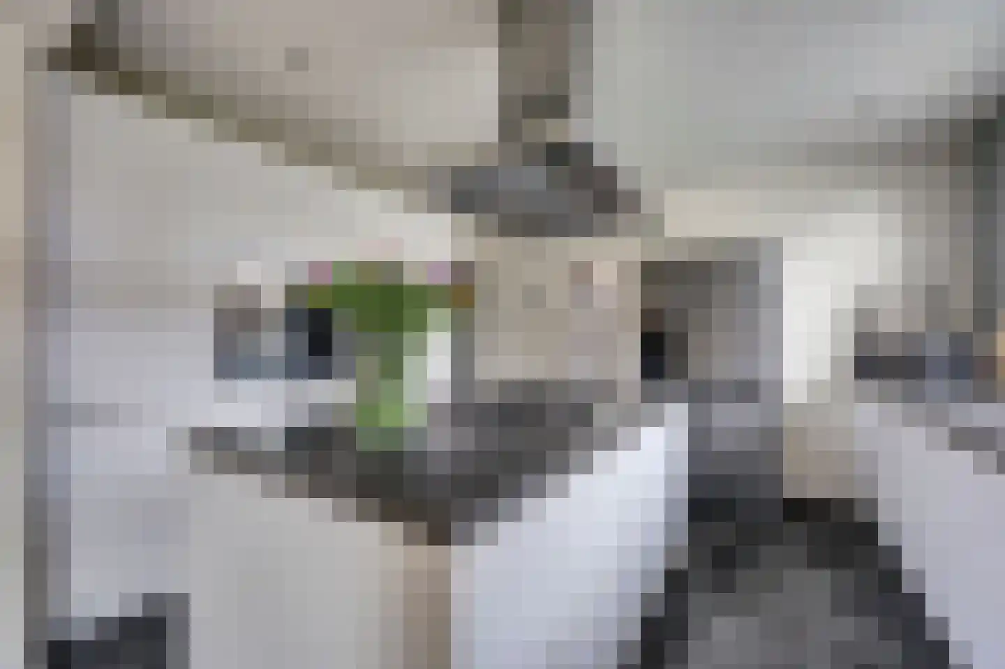 Radmakersstraat 1 Oeffelt thumbnail 6