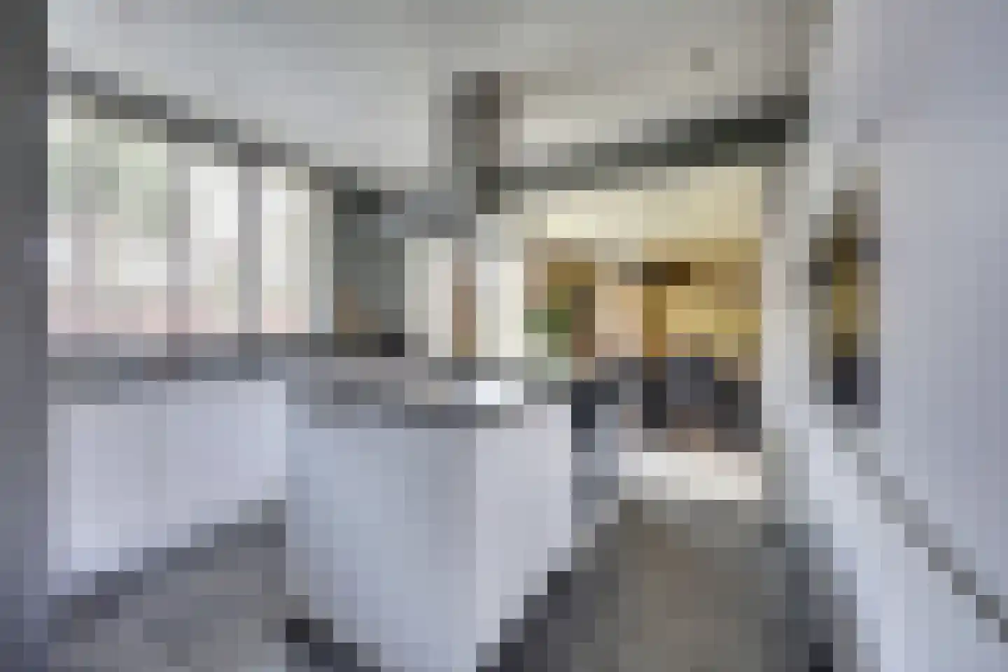 Radmakersstraat 1 Oeffelt thumbnail 8