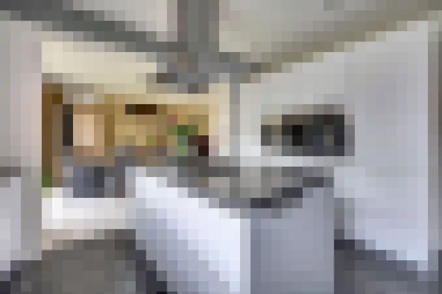 Radmakersstraat 1 Oeffelt thumbnail 9