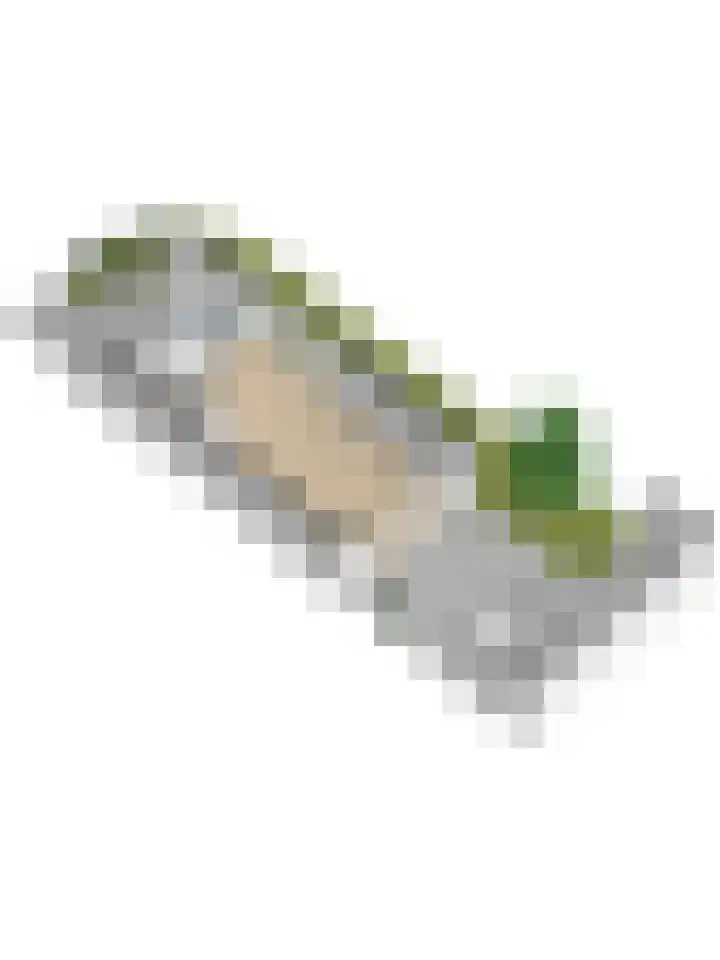Radon 31 Zeewolde thumbnail 52