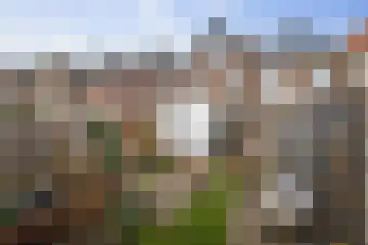 Radstakeweg 17 Deventer thumbnail 31