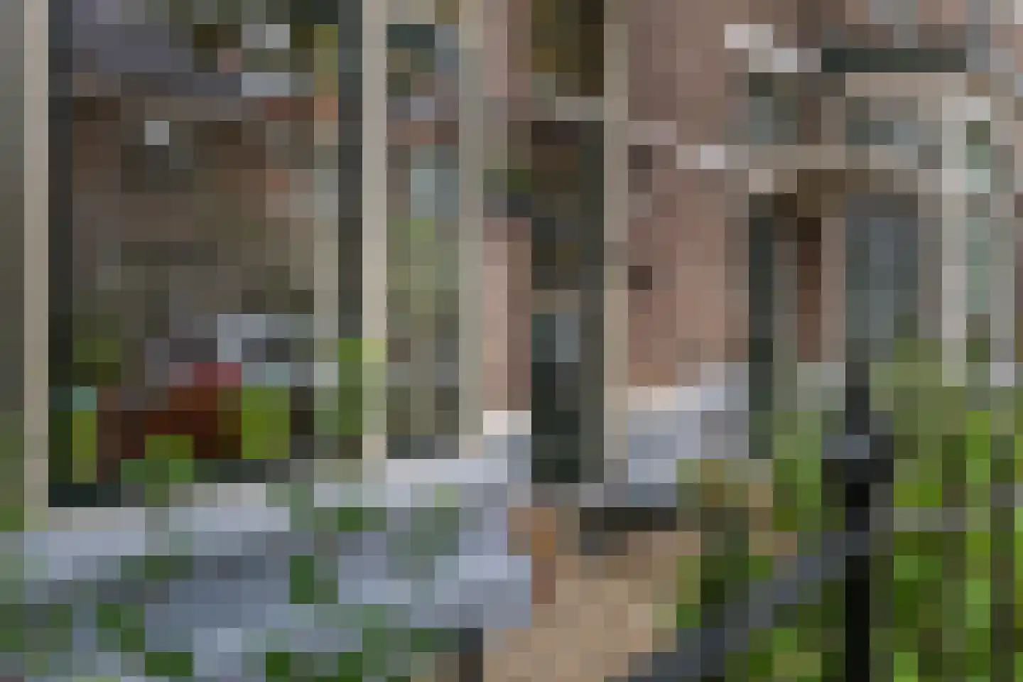 Radstakeweg 21 Deventer thumbnail 26