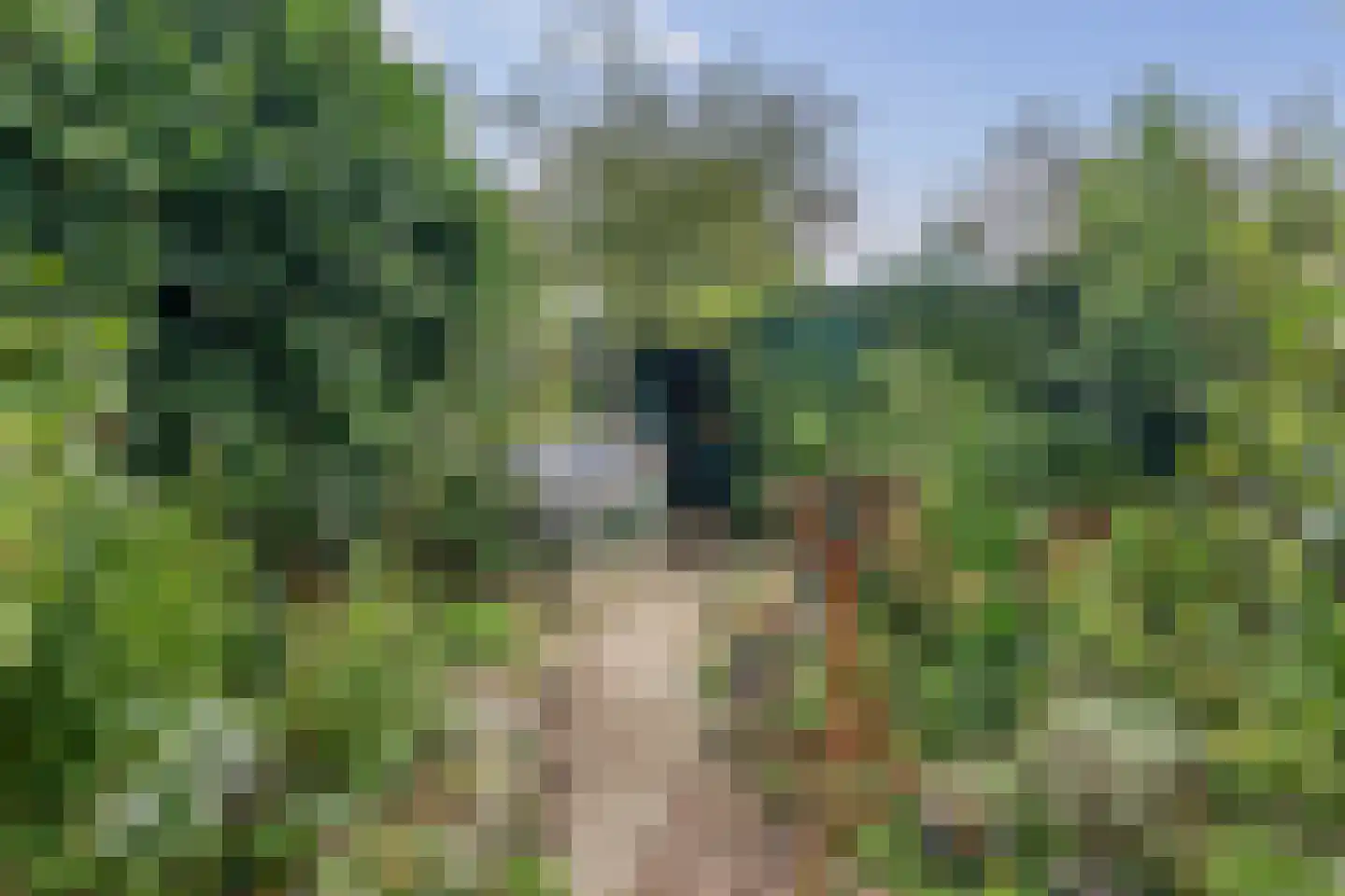 Radstakeweg 21 Deventer thumbnail 32