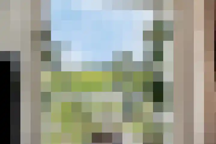 Radsweg 48 Roodeschool thumbnail 12