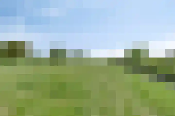 Radsweg 48 Roodeschool thumbnail 39
