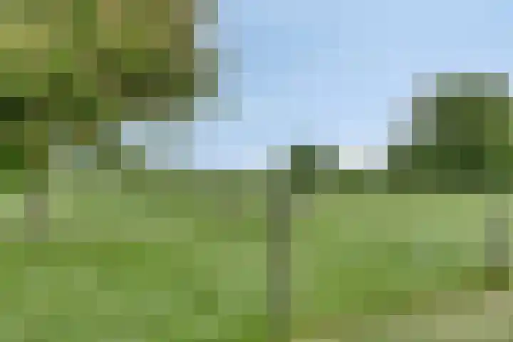 Radsweg 48 Roodeschool thumbnail 40