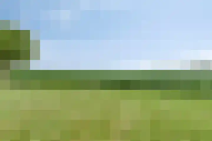 Radsweg 48 Roodeschool thumbnail 41