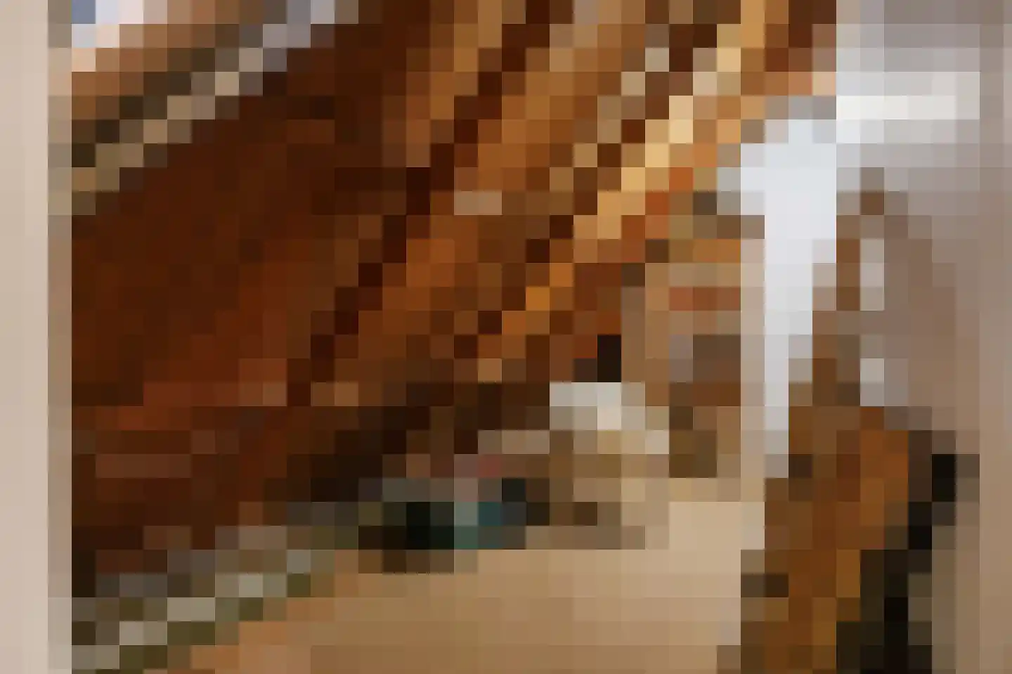 Radsweg 66 Roodeschool thumbnail 27