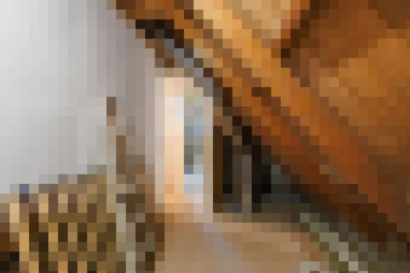 Radsweg 66 Roodeschool thumbnail 28