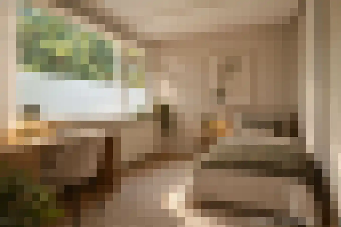 Raedeckerplantsoen 9 Nieuwegein thumbnail 15