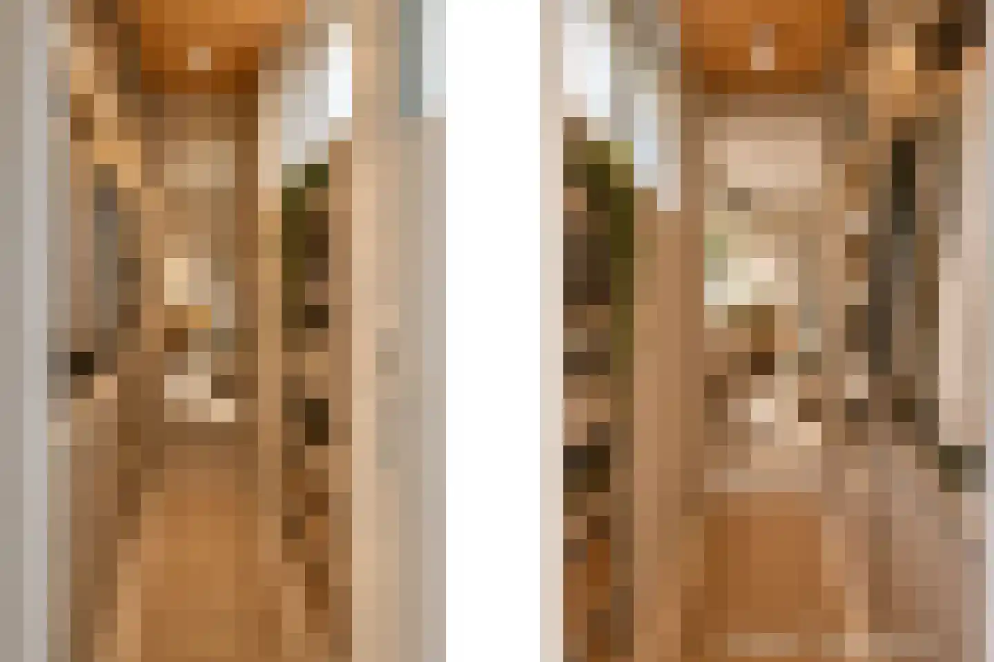 Raedeckerplantsoen 9 Nieuwegein thumbnail 16