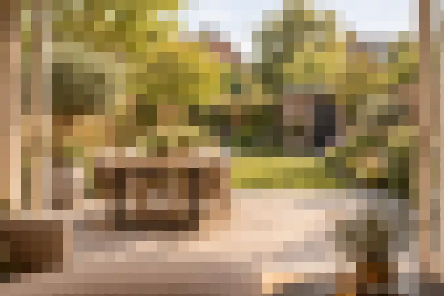 Raedeckerplantsoen 9 Nieuwegein thumbnail 23