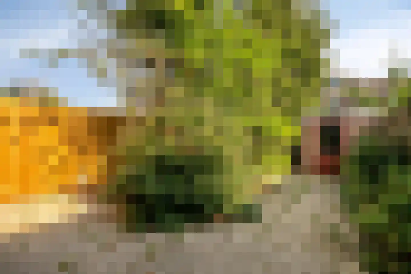 Raedeckerplantsoen 9 Nieuwegein thumbnail 24
