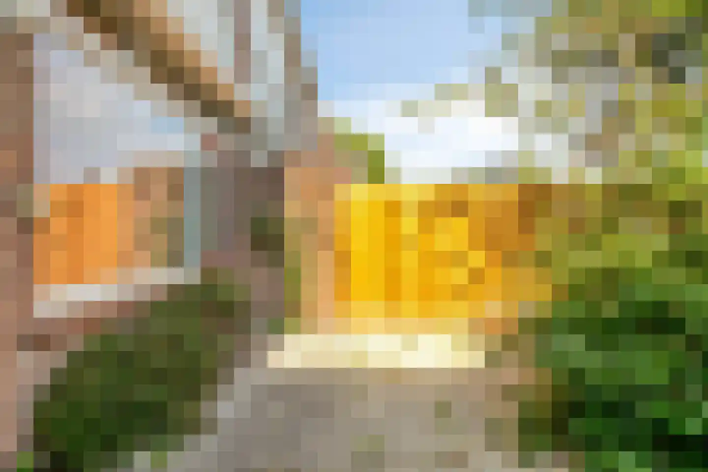 Raedeckerplantsoen 9 Nieuwegein thumbnail 25