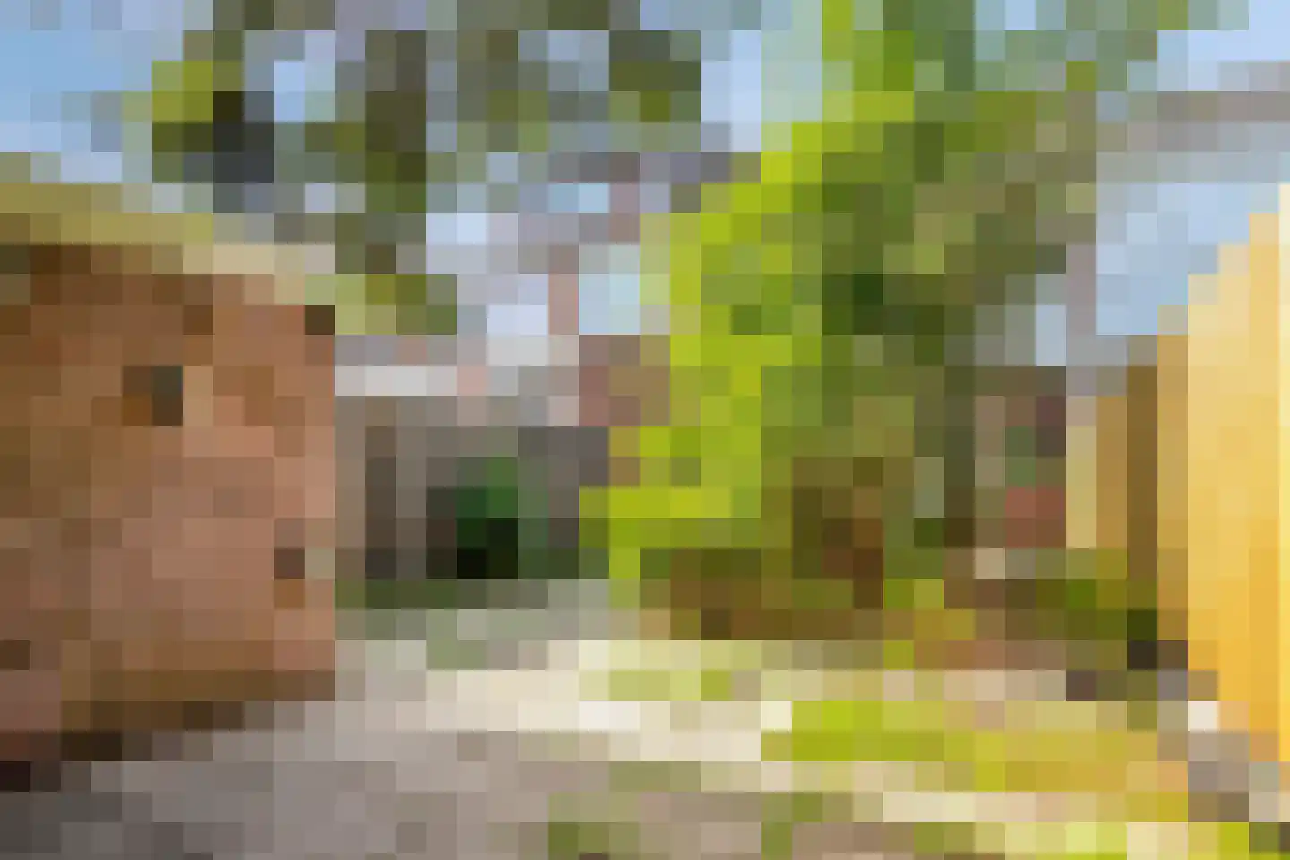 Raedeckerplantsoen 9 Nieuwegein thumbnail 27