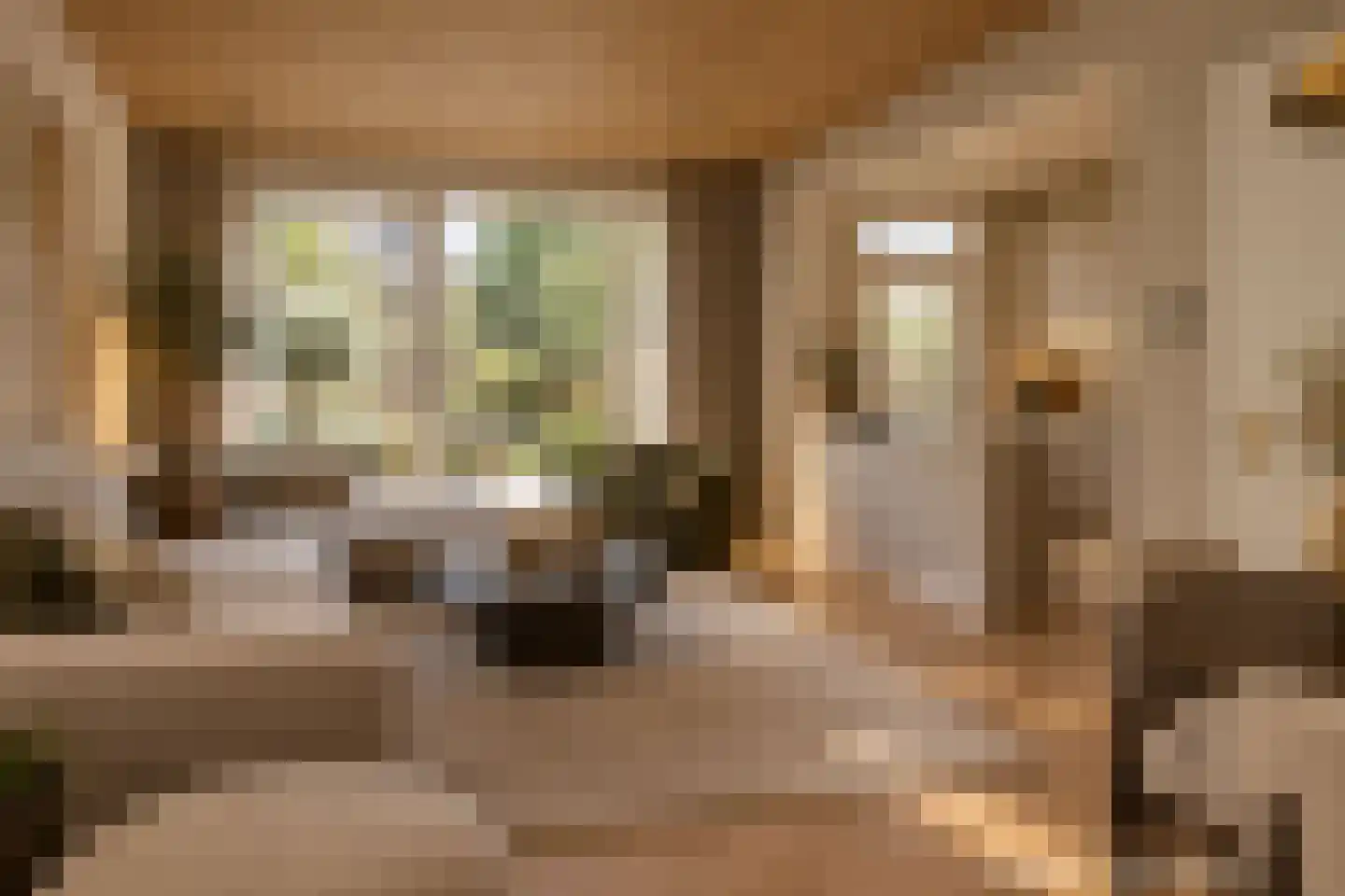 Raedeckerplantsoen 9 Nieuwegein thumbnail 8