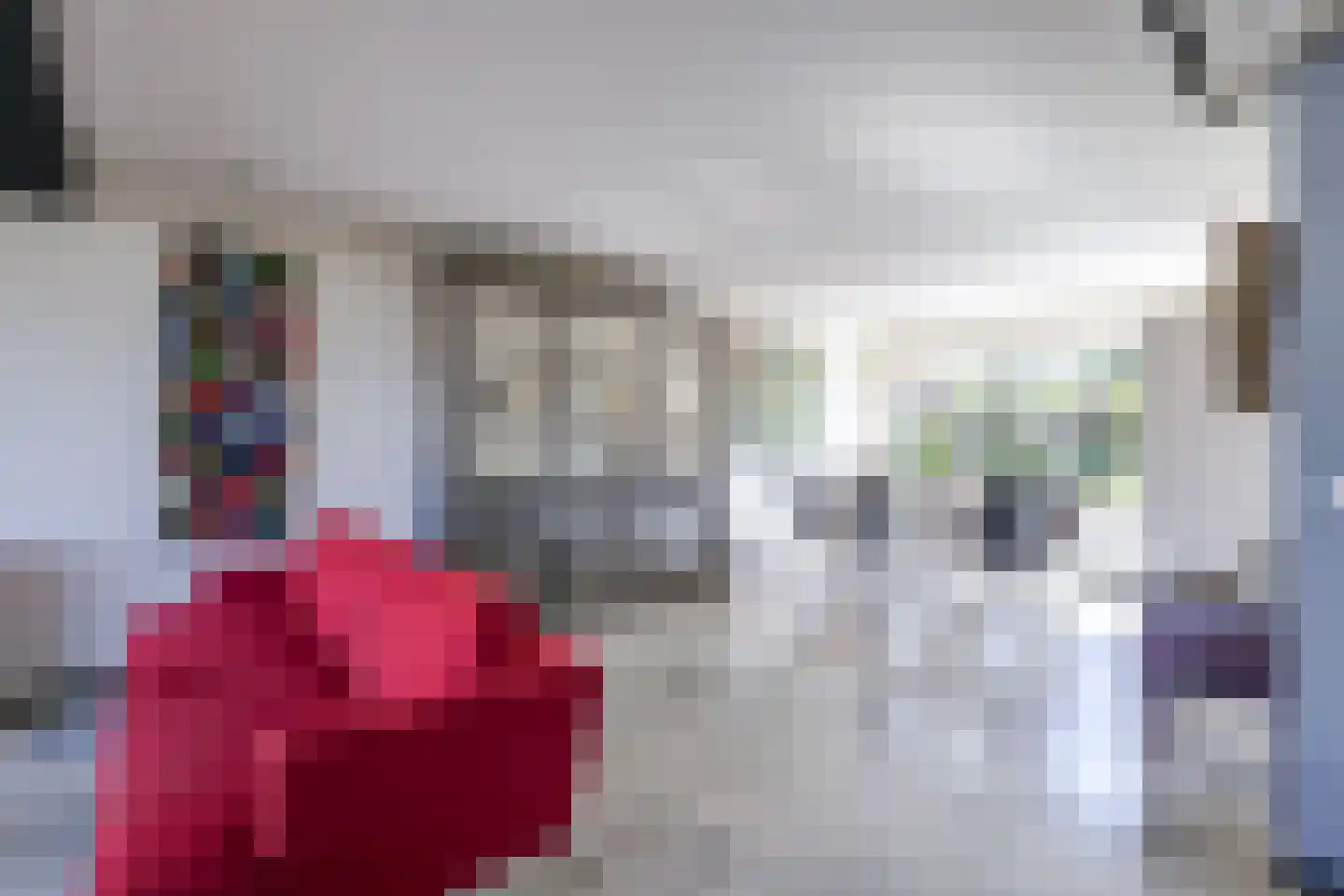 Raephorstsingel 24 Heerhugowaard thumbnail 9