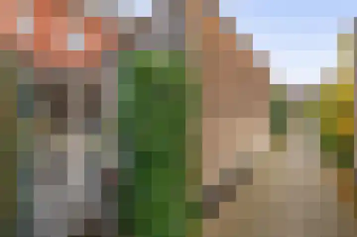 Raephorststraat 40 Rotterdam thumbnail 17