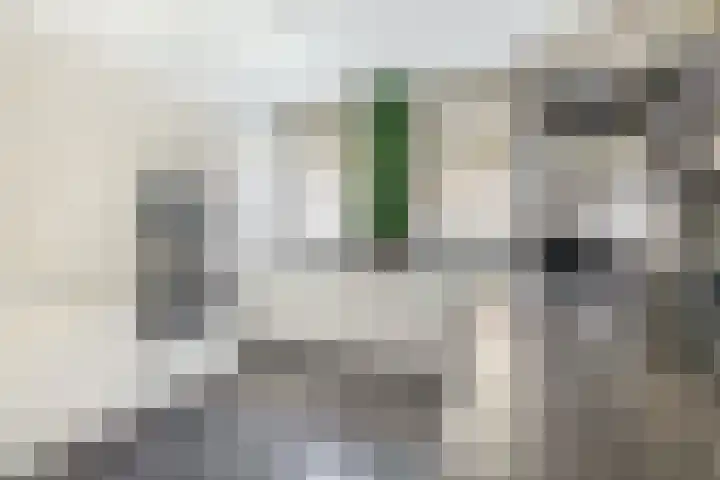 Raephorststraat 58 Rotterdam thumbnail 13