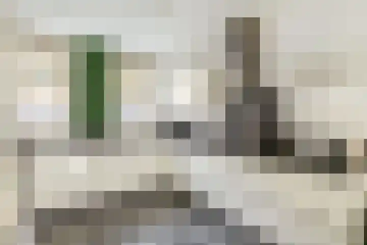 Raephorststraat 58 Rotterdam thumbnail 14