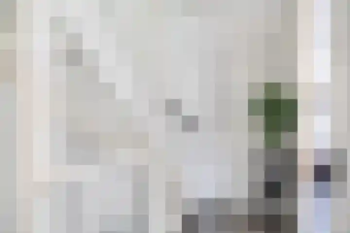 Raephorststraat 58 Rotterdam thumbnail 20