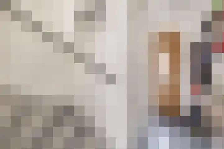 Raephorststraat 58 Rotterdam thumbnail 6