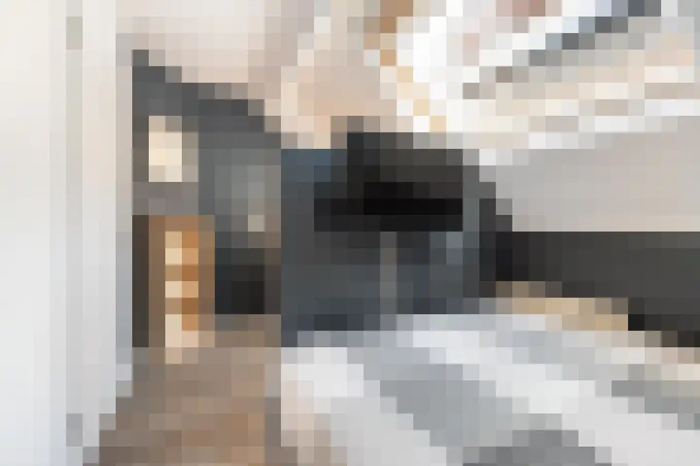 Raetmansweg 14 Winterswijk Ratum thumbnail 20
