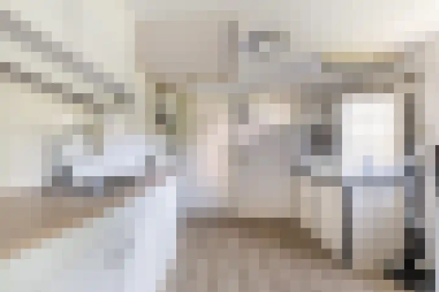 Raetmansweg 14 Winterswijk Ratum thumbnail 27