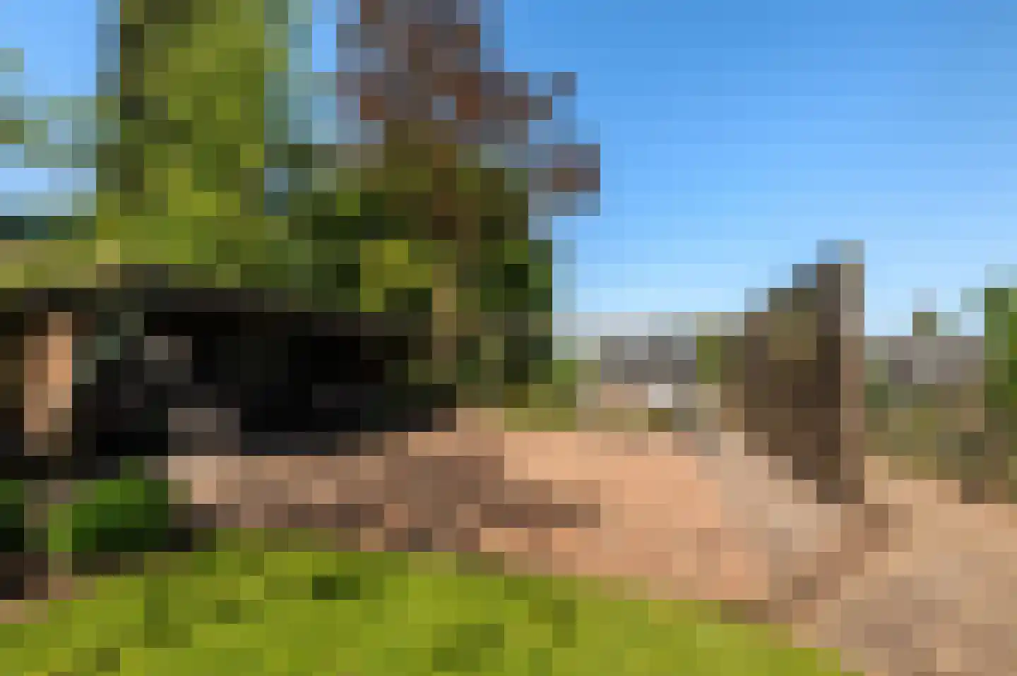 Raetmansweg 14 Winterswijk Ratum thumbnail 35
