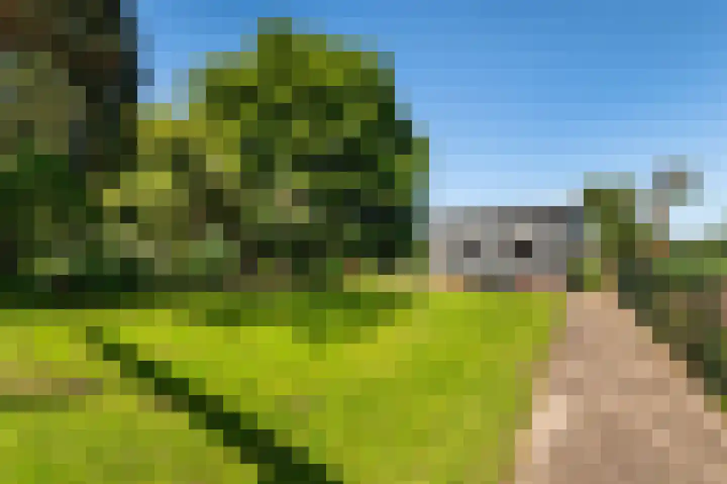 Raetmansweg 14 Winterswijk Ratum thumbnail 36