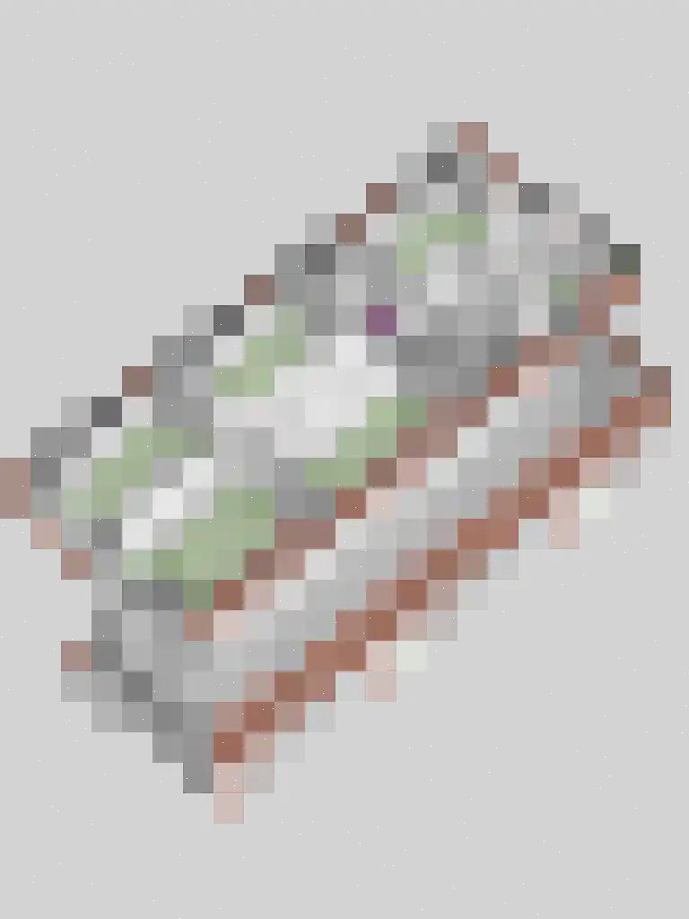 Raetmansweg 14 Winterswijk Ratum thumbnail 50