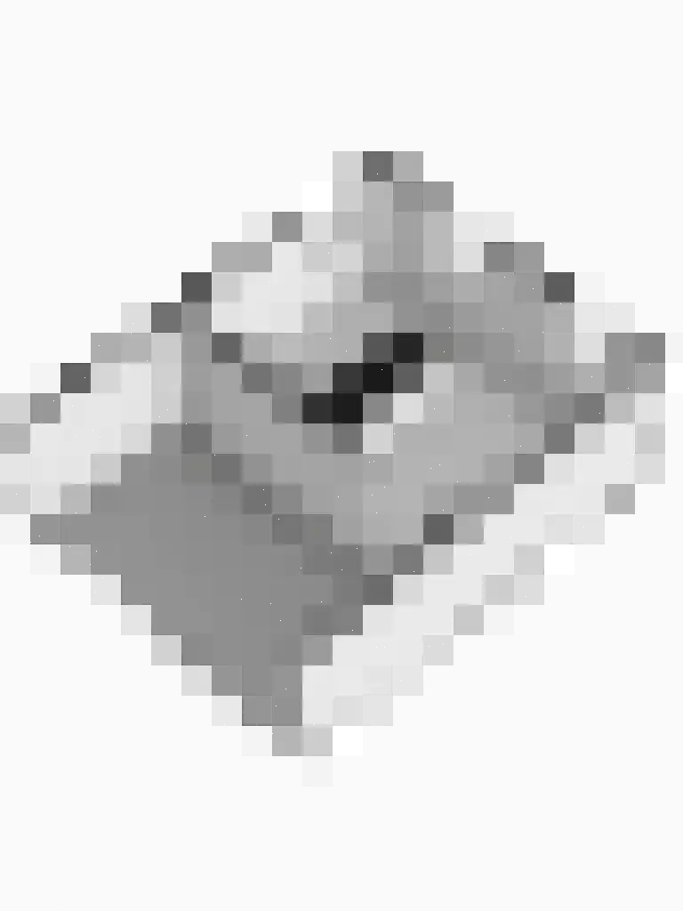 Raetmansweg 14 Winterswijk Ratum thumbnail 53
