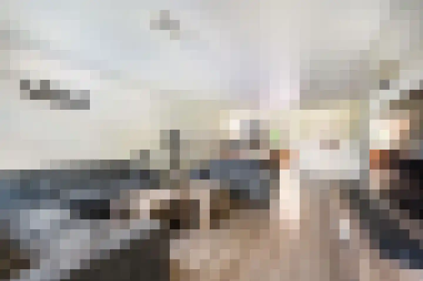 Raetmansweg 14 Winterswijk Ratum thumbnail 9