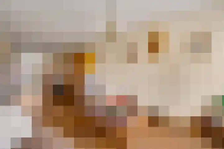 Raetsenhof 4 Heythuysen thumbnail 10