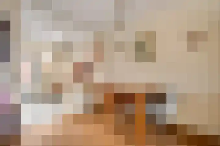 Raetsenhof 4 Heythuysen thumbnail 12