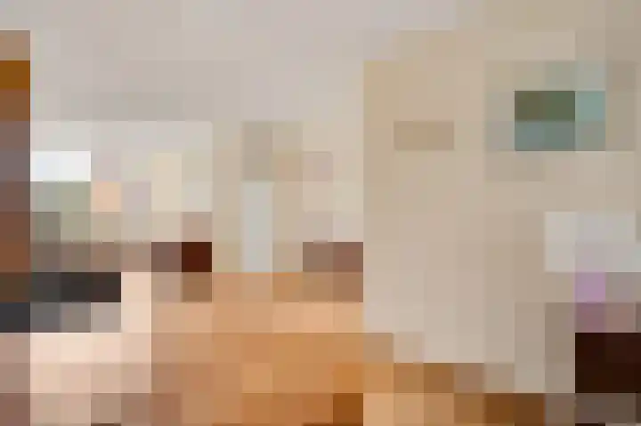 Raetsenhof 4 Heythuysen thumbnail 14