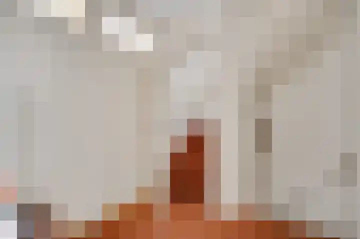 Raetsenhof 4 Heythuysen thumbnail 18