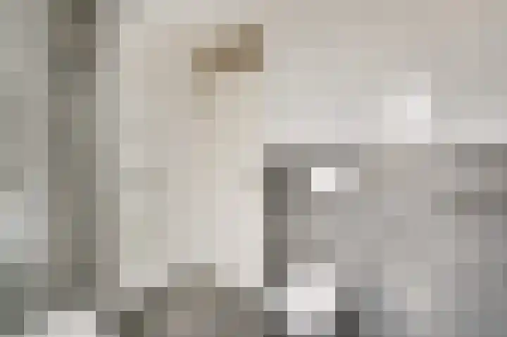Raetsenhof 4 Heythuysen thumbnail 25