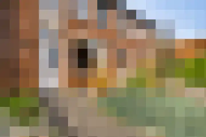 Raetsenhof 4 Heythuysen thumbnail 4