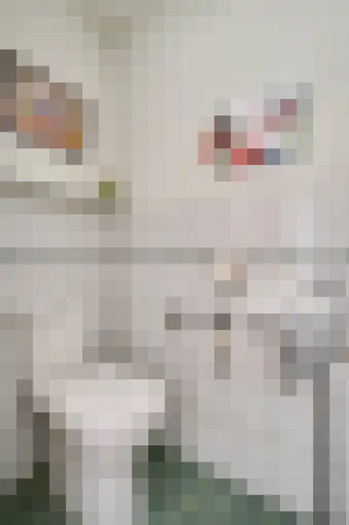 Raetsenhof 4 Heythuysen thumbnail 7