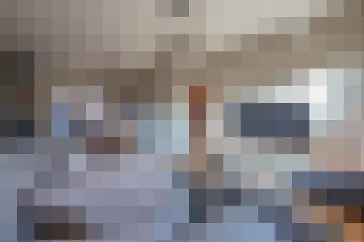 Raevenstraat 12 Ittervoort thumbnail 8