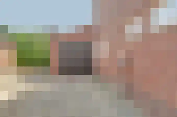 Raevenstraat 17 Ittervoort thumbnail 32