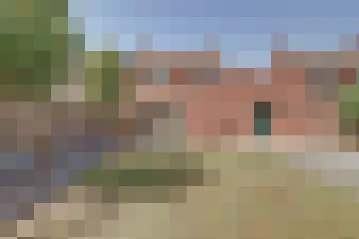 Raevenstraat 17 Ittervoort thumbnail 36